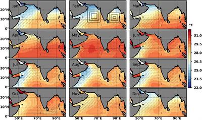 Long-Term Trends and Impact of SARS-CoV-2 COVID-19 Lockdown on the Primary Productivity of the North Indian Ocean